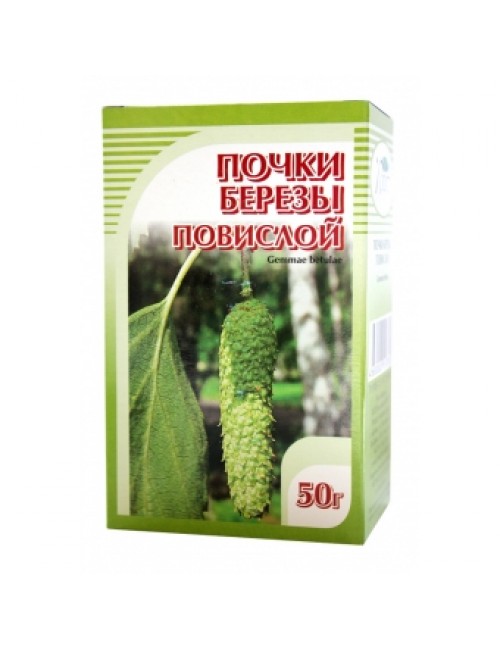 Почки березы. Березовые почки. Почки березы красногорсклексредства. Почки березы сырье. Березовые почки 50г фитофарм.